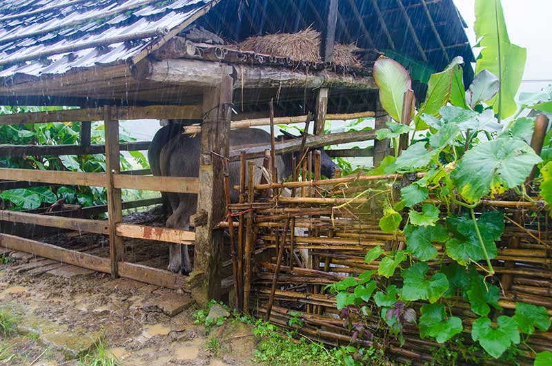 223 - Vietnam - Sapa - paisaje bajo la lluvia